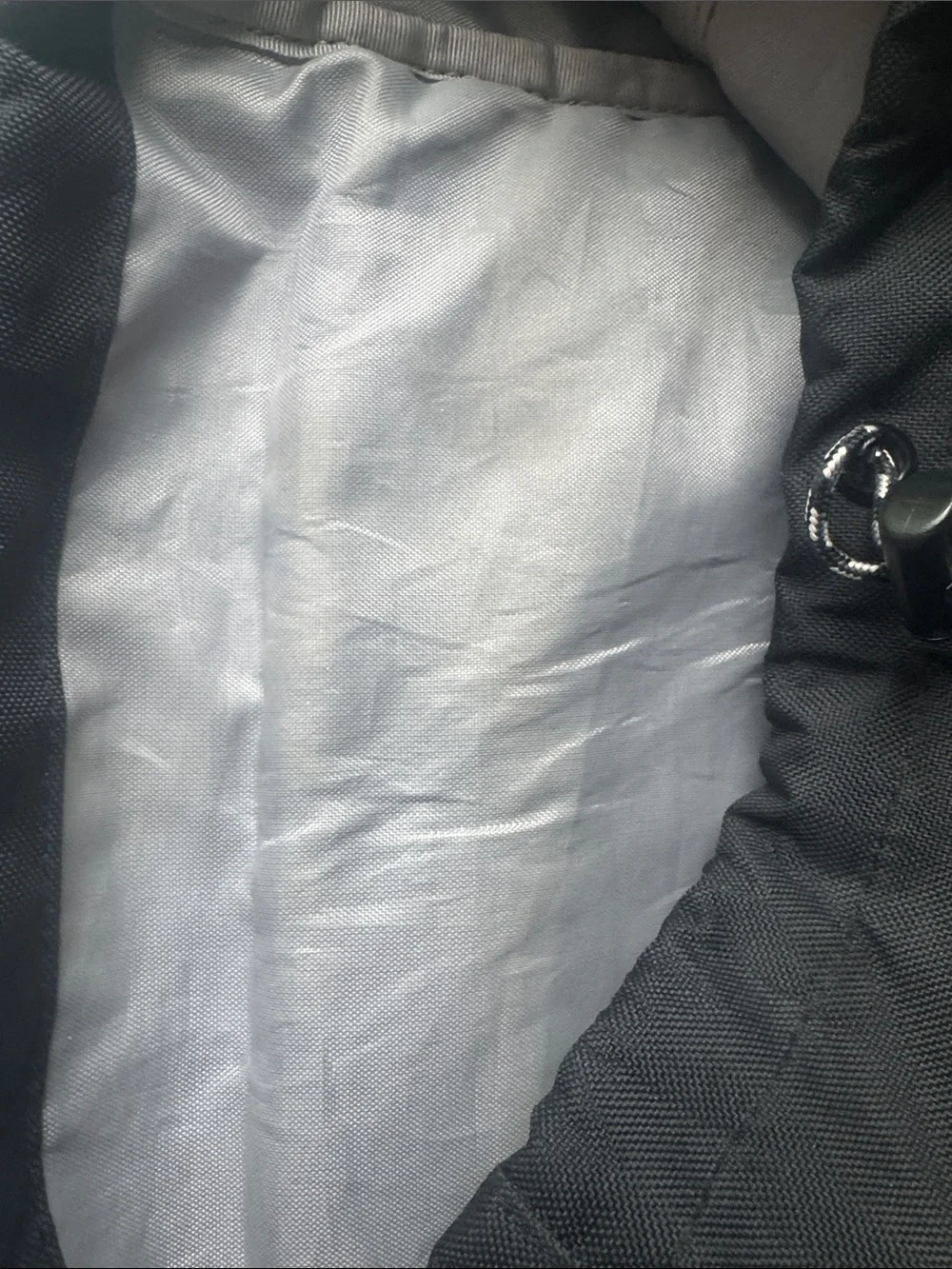 Patagonia arbor classic
